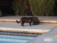 Hermes P2 tests P2130352.JPG.JPG